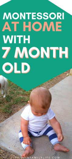 a baby sitting on the ground next to a white dog and text that reads montessoi at home with 7 month old