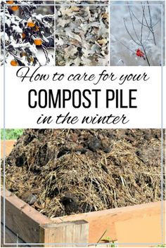 compost pile in the winter with text overlay that reads how to care for your compost pile in the winter