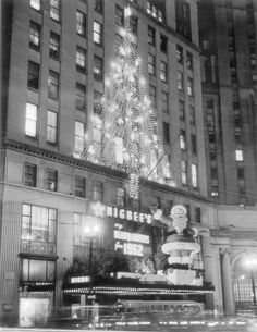 a large christmas tree is lit up in the city