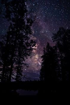 the night sky is filled with stars and trees