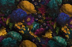 an image of colorful flowers and leaves on a black background with blue, yellow, red, green and purple colors