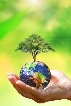 a person's hand holding a small earth with a tree growing out of it