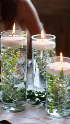 three clear vases filled with plants and lit candles