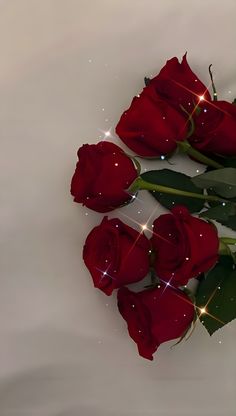 three red roses sitting on top of a white surface with sparkles in the background