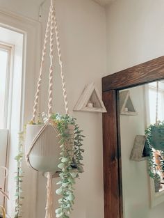 a hanging planter with plants in it next to a mirror