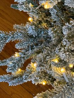 a cat is sitting on the floor next to a christmas tree with its lights on