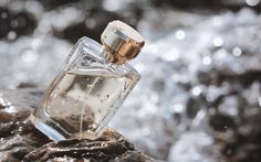 Perfume bottle on water background | Premium Photo #Freepik #photo #perfumery #perfume-bottle #scent #perfume Photo Perfume, Scent Perfume, Drawings Tutorials, Water Background, Wallpaper Images, Phone Wallpaper Images, Anime Drawings Tutorials, Perfume Bottle, Premium Photo