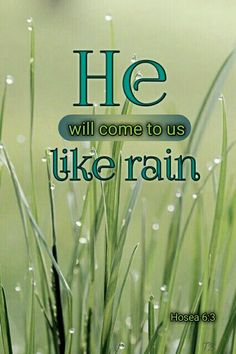 grass with the words he will come to us like rain