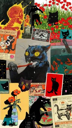 a collage of black cats and red flowers