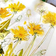 a watercolor painting of yellow flowers on white paper with green markers and pencils