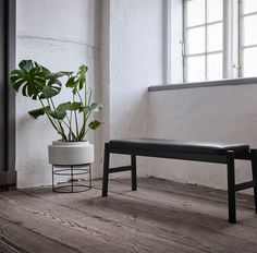 a plant in a white pot next to a bench on a wooden floor near a window