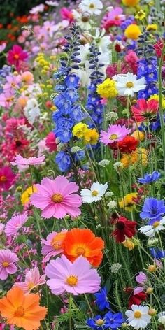 many different colored flowers in a field