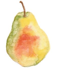 a watercolor painting of a pear on a white background, with the color red and yellow