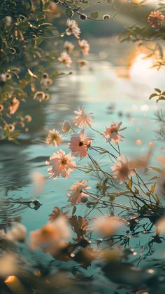 flowers are floating in the water near some trees