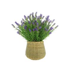 a wicker basket filled with lavender flowers on a white background for use as a planter