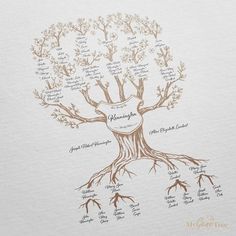 Limited Edition' Family Branches Taupe Digital Family Tree Template MyGeneTree Family Tree Examples, Family Tree Templates, Family Tree Drawing, Genealogy Art, Make A Family Tree, Family Tree Painting, Family Tree Designs, Family Tree Art, Family Tree Project