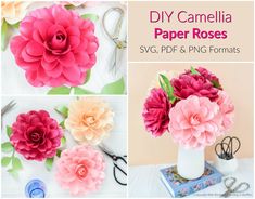 paper flowers and scissors are shown in this collage with the words diy camellia paper roses