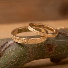 two gold wedding rings sitting on top of a piece of wood