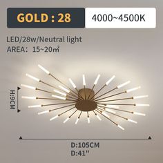 the light fixture is shown with measurements for it