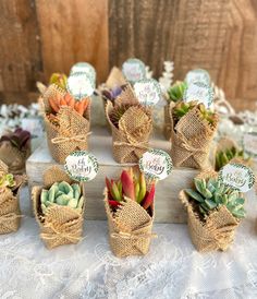 small succulents in burlock wrapped baskets are displayed on a table