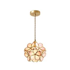 a light fixture with pink flowers hanging from it's side on a white background