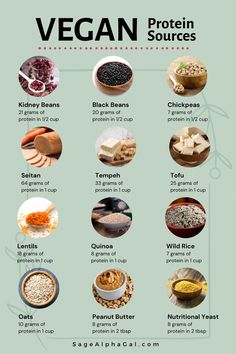 If you are following a plant-based diet, these are the best vegan protein sources to ensure you get your daily allowance of protein. Best Vegan Protein Sources, Vegan Protein Options, Plant Based Protein Sources, 1000 Calorie, Best Vegan Protein, Vegan Protein Sources, High Protein Vegan Recipes, Vegetarian Protein, Sans Gluten Sans Lactose