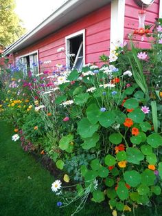 a red house with lots of flowers in front of it