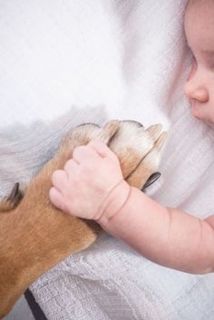 a baby laying in bed next to a dog