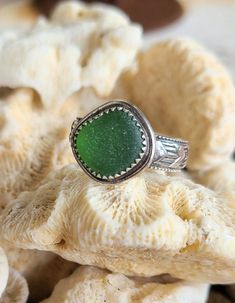 a green sea glass ring sitting on top of a pile of white corals with shells in the background