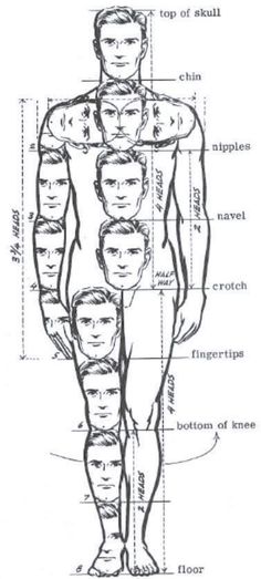 a diagram of the human body with all its main parts labeled in black and white