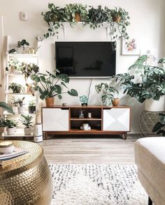 a living room with plants on the wall and a flat screen tv mounted above it