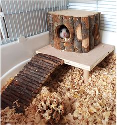 a hamster in a tree stump house on top of a bed of wood shavings