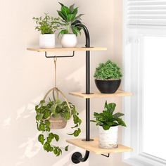 three shelves with plants on them in front of a window