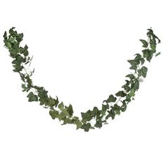 an ivy garland is shown on a white background