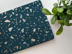 a blue notebook with gold and white speckles on it next to a potted plant