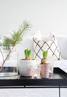 three plants in vases sitting on a coffee table next to a couch with pillows