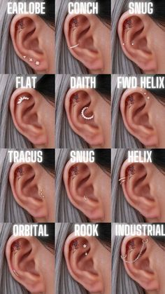 many different types of ear piercings are shown in this image with the caption's description below