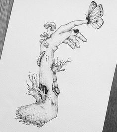 a pencil drawing of a hand reaching for a butterfly on top of a tree stump