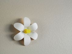 a white flower with yellow center sitting on the wall