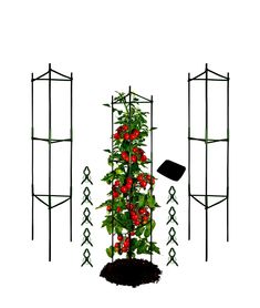 CEED4U Assembled Climbing Vegetables Tomatoes Garden Cage, Climbing Vegetables, Plant Cages, Tomato Cages, Tomato Vegetable, Tomato Garden, Tomatoes