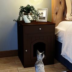 a dog is sitting in front of a bed and looking at the cat's litter box