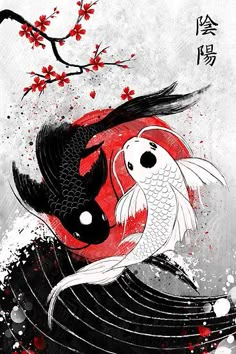 two koi fish swimming in front of a red and white background with cherry blossoms