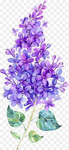 Lilac Painting, Pink Flowers Background, Purple And White Flowers, Leaves Illustration, Floating Flowers, Pink And Blue Flowers