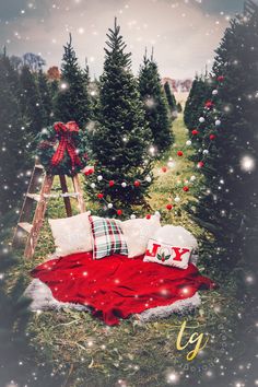 Christmas Tree Farm Pajama Pictures, Simple Outside Christmas Photoshoot, Diy Christmas Picture Setup, Christmas Tree Farm Christmas Pictures, Christmas Arch Photo Prop, Christmas Photography Set Up Outdoor, Tree Farm Mini Session Set Up, Easy Outdoor Christmas Photo Shoot, Diy Christmas Photoshoot Outdoors