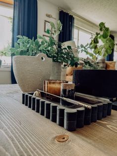 an assortment of objects sitting on top of a table next to a potted plant