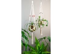 two hanging planters with plants in them