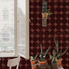 two potted plants sit on a table in front of a window