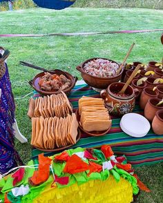 a table topped with lots of food on top of a grass covered field next to potted plants