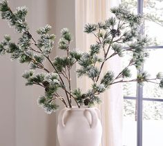 a white vase with pine branches in front of a window