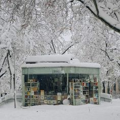 a book store covered in snow with lots of books on the shelves and trees behind it